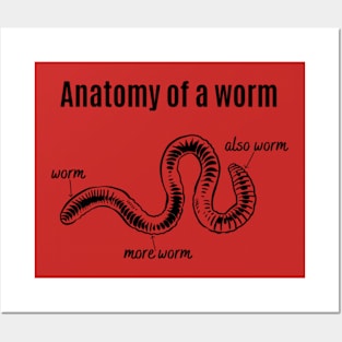 Anatomy Of A Worm Posters and Art